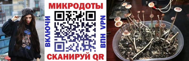 Галлюциногенные грибы ЛСД Александровск-Сахалинский